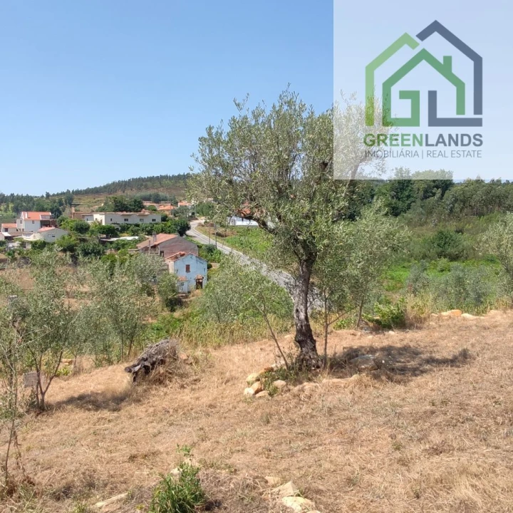 Quinta T0 para Venda em Lourosa Foto 15