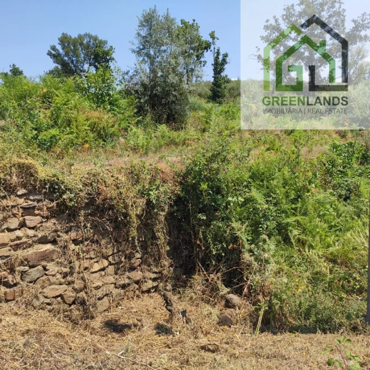 Quinta T0 para Venda em Lourosa Foto 47