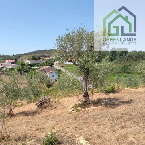 Quinta T0 para Venda em Lourosa Foto 15