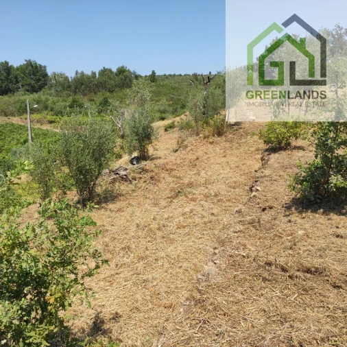 Quinta T0 para Venda em Lourosa Foto 45