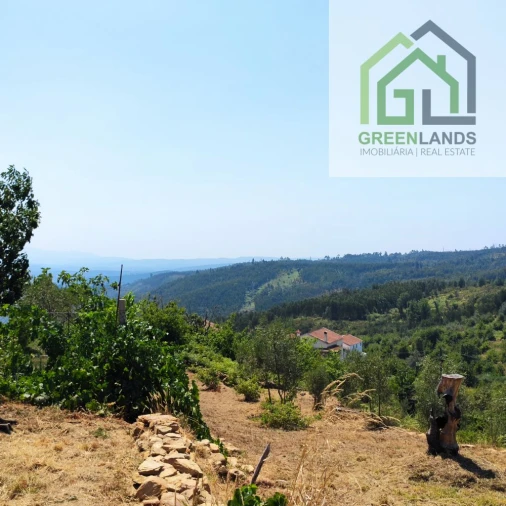 Quinta T0 para Venda em Lourosa Foto 6