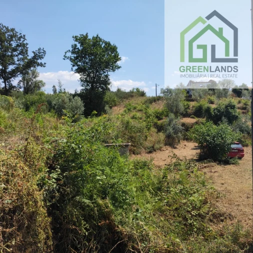 Quinta T0 para Venda em Lourosa Foto 31