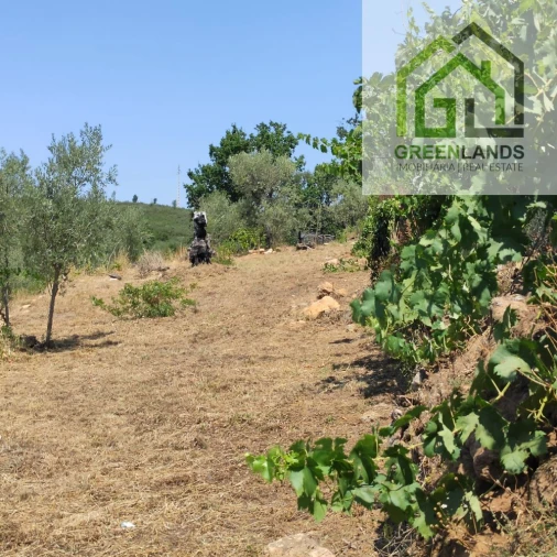 Quinta T0 para Venda em Lourosa Foto 48