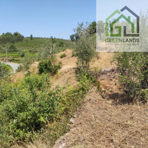 Quinta T0 para Venda em Lourosa Foto 38