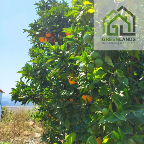 Quinta T0 para Venda em Lourosa Foto 43