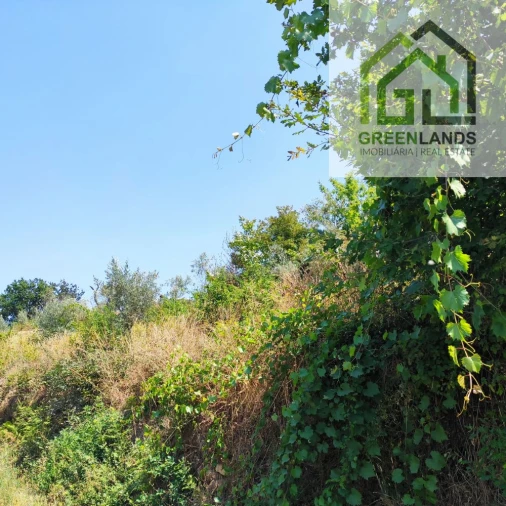 Quinta T0 para Venda em Lourosa Foto 36