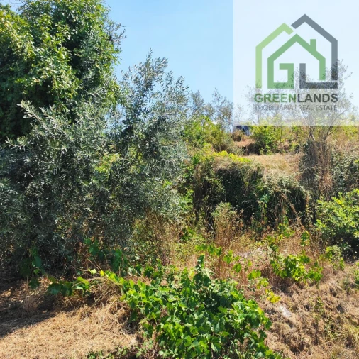 Quinta T0 para Venda em Lourosa Foto 49