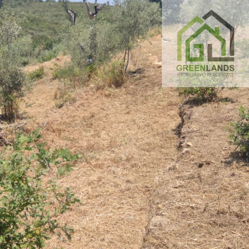 Quinta T0 para Venda em Lourosa Foto 40