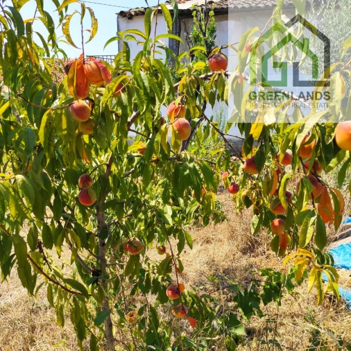 Quinta T0 para Venda em Lourosa Foto 41