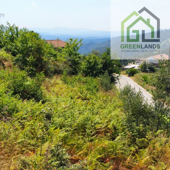 Quinta T0 para Venda em Lourosa Foto 39