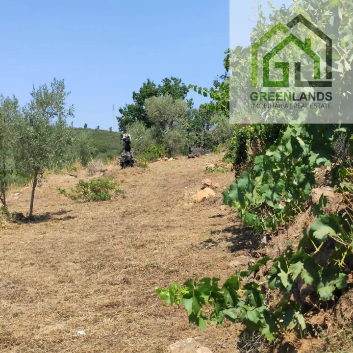 Quinta T0 para Venda em Lourosa Foto 48