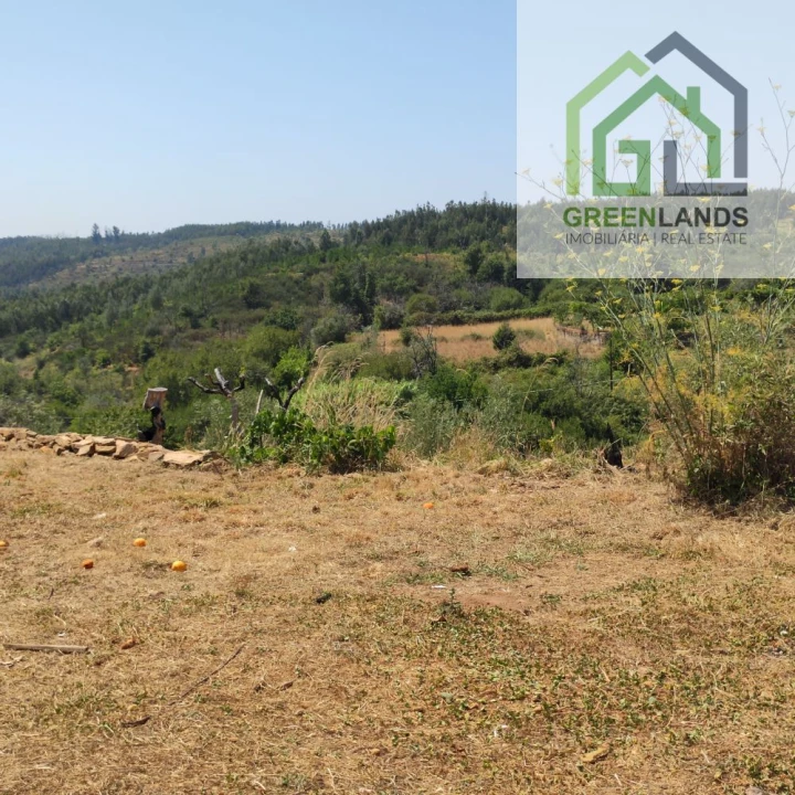 Quinta T0 para Venda em Lourosa Foto 42