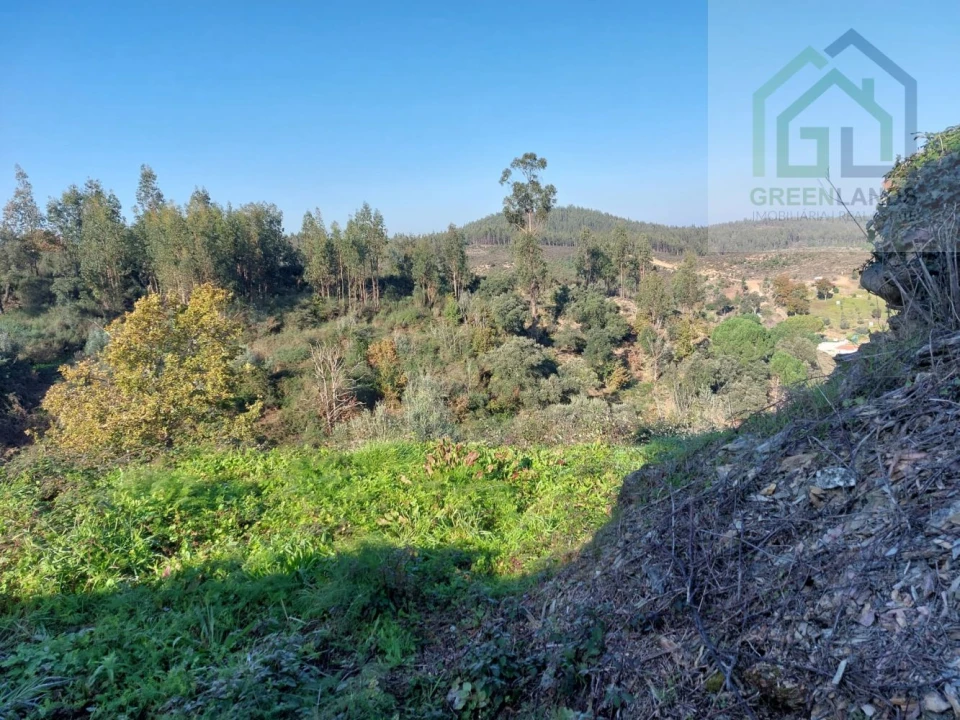 Moradia T3 para Venda em Pombeiro da Beira Foto 17