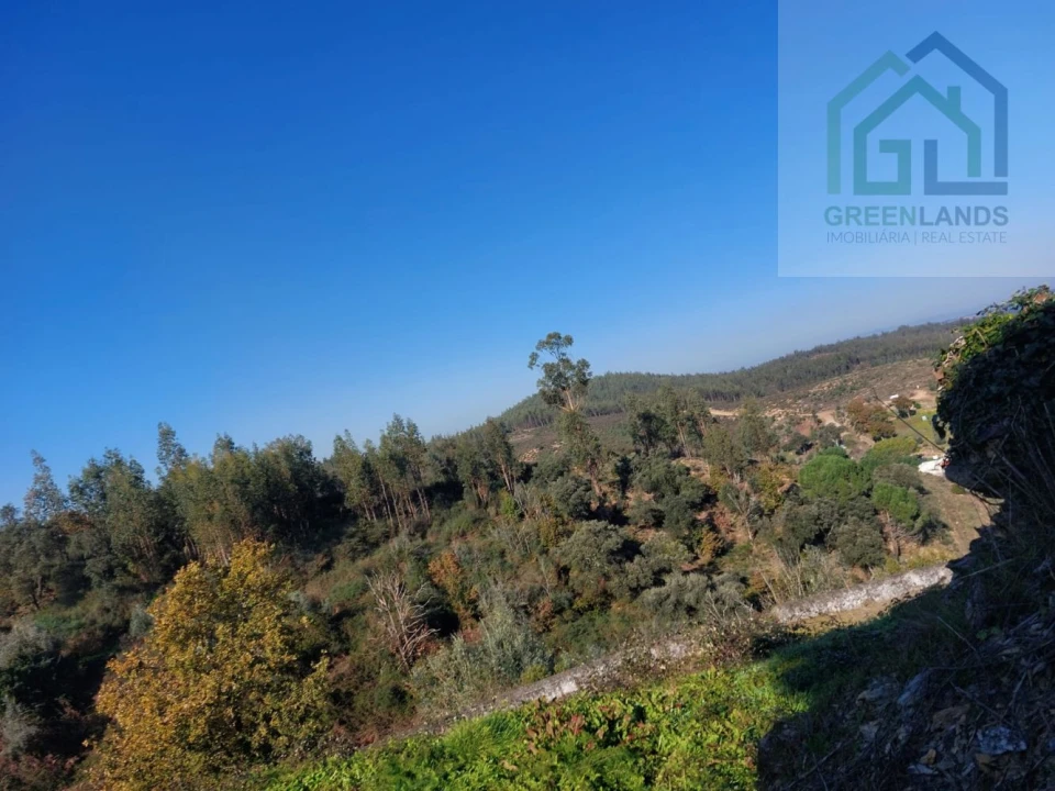 Moradia T3 para Venda em Pombeiro da Beira Foto 20