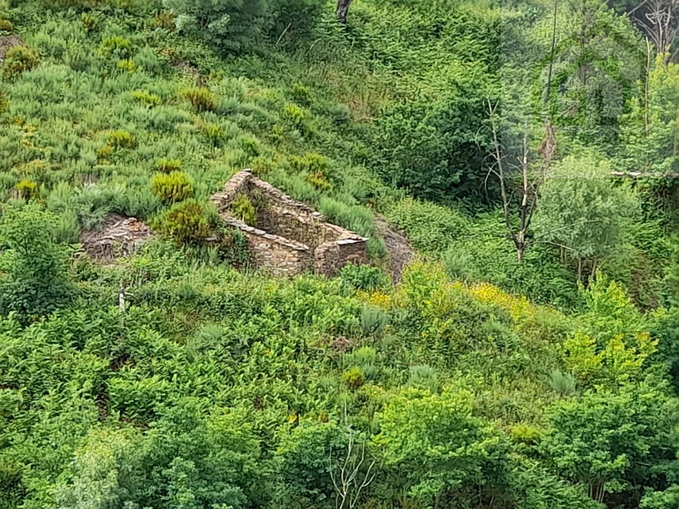 Terreno para Venda em Benfeita Foto 9