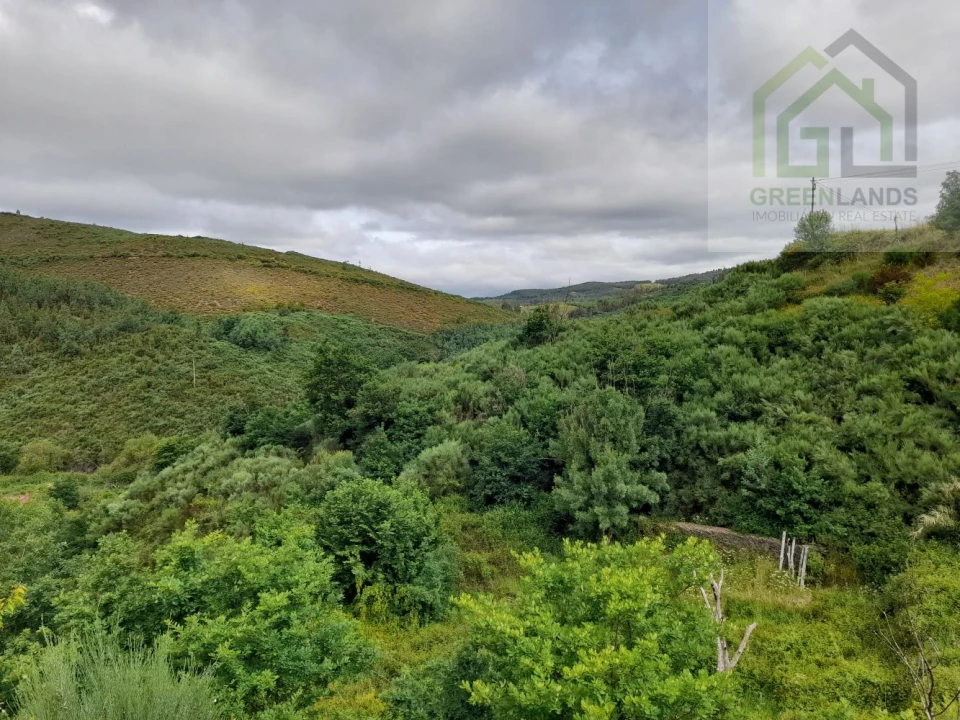 Terreno para Venda em Benfeita Foto 2