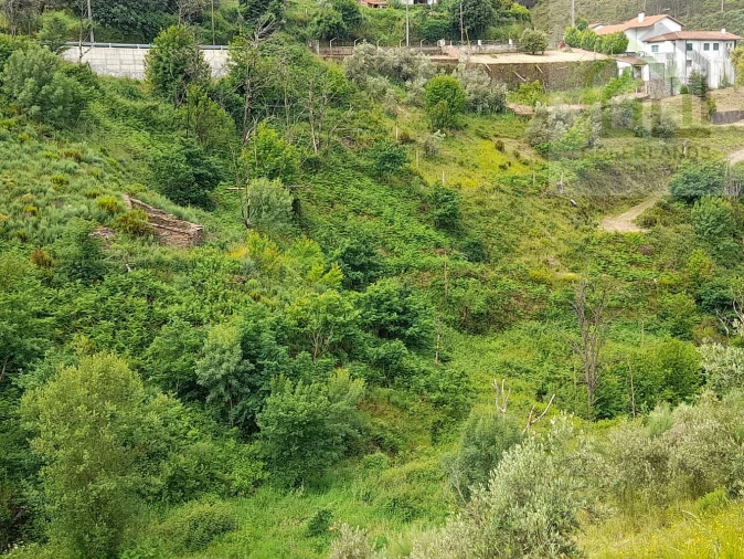 Terreno para Venda em Benfeita Foto 6