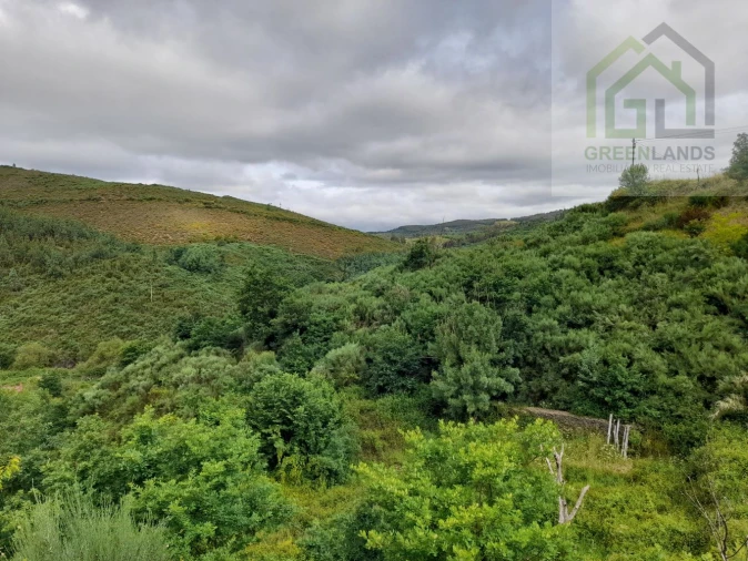 Terreno para Venda em Benfeita Foto 2