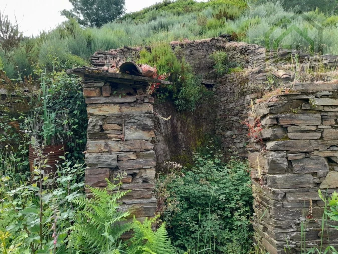 Terreno para Venda em Benfeita Foto 3