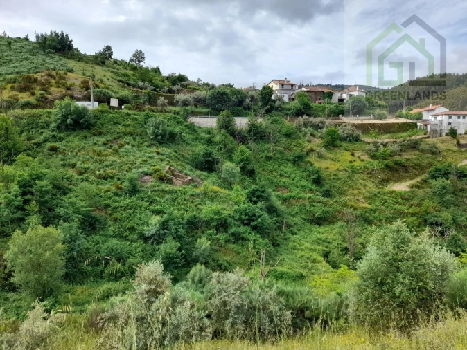 Terreno para Venda em Benfeita Foto 7