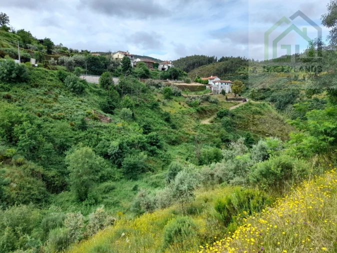 Terreno para Venda em Benfeita Foto 5