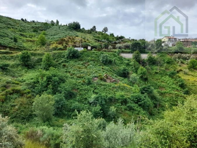 Terreno para Venda em Benfeita Foto 8