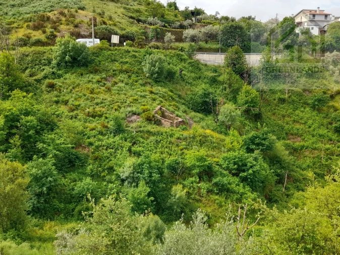 Terreno para Venda em Benfeita Foto 10