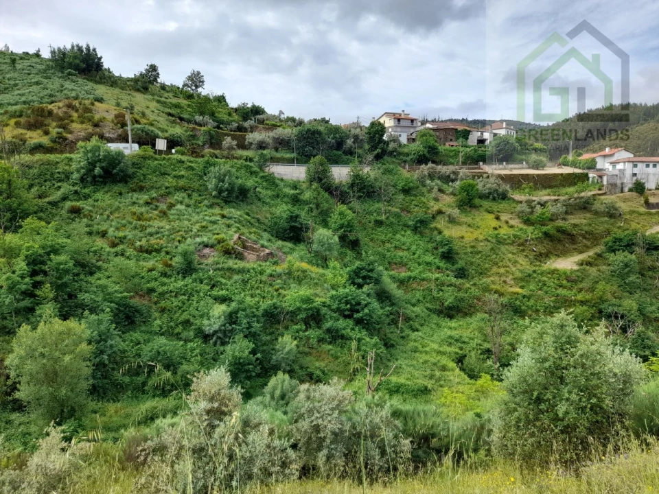 Terreno para Venda em Benfeita Foto 7