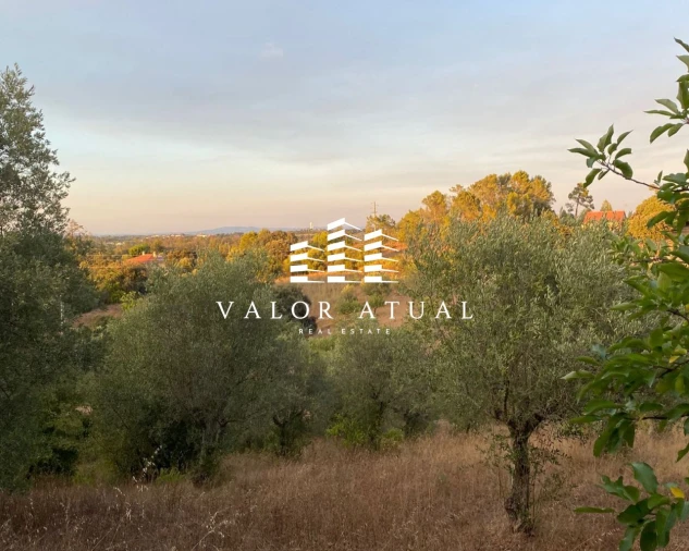 Terreno para Venda em Olaia e Paço Foto 9