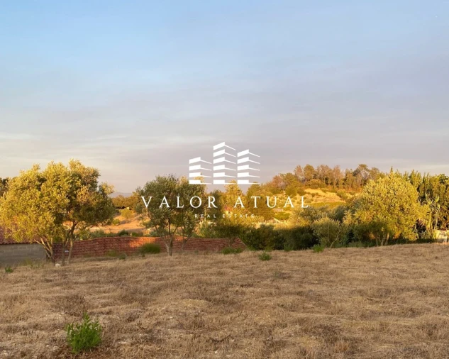 Terreno para Venda em Olaia e Paço Foto 4