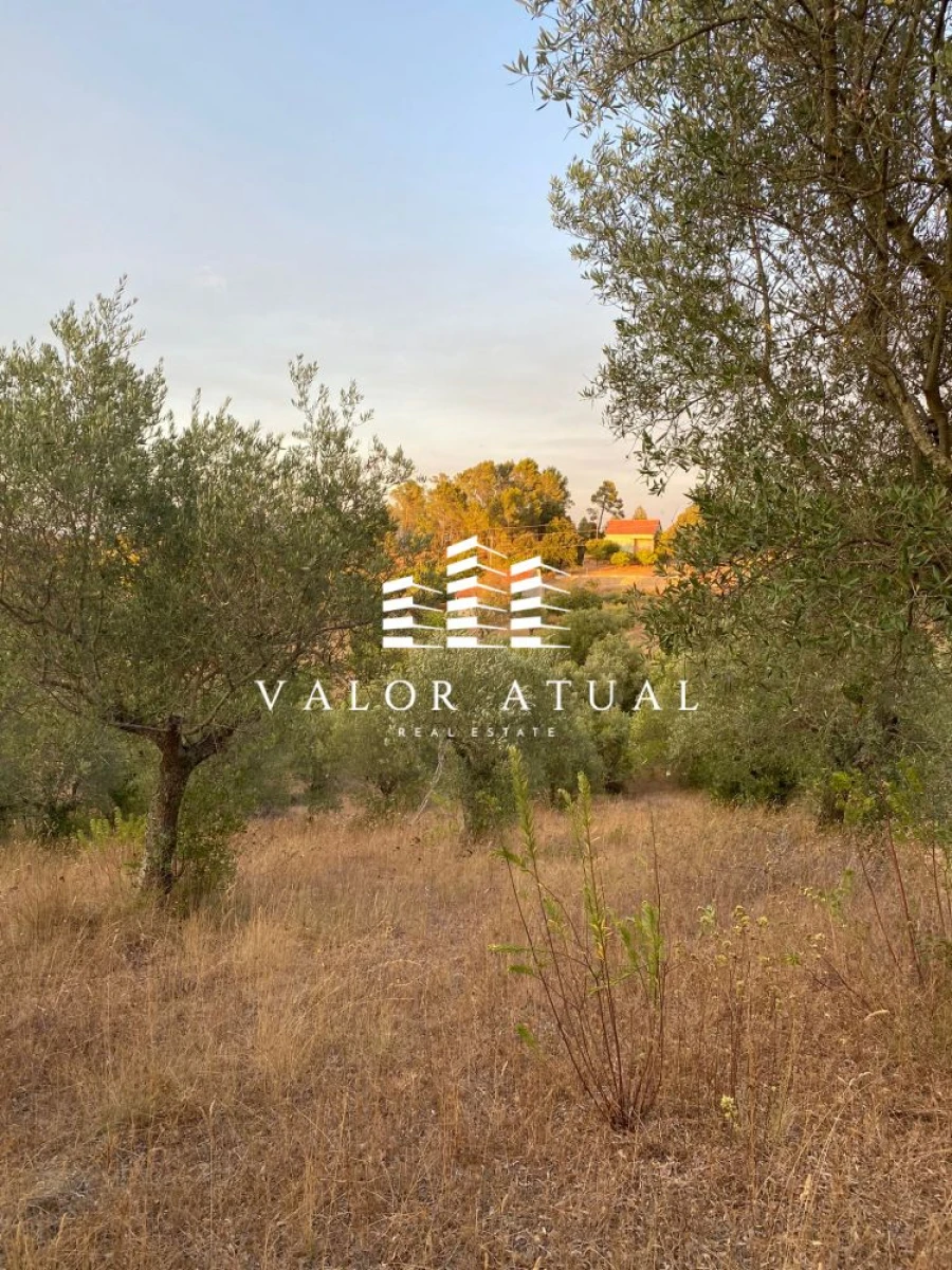 Terreno para Venda em Olaia e Paço Foto 13