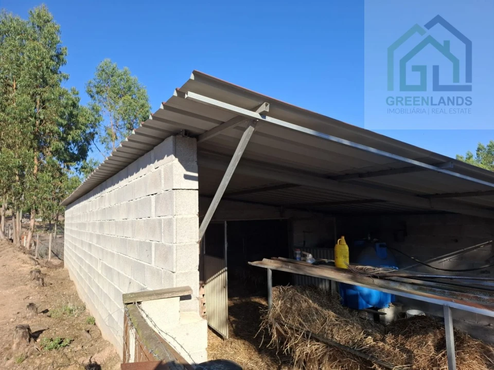 Quinta T0 para Venda em São Martinho da Cortiça Foto 22