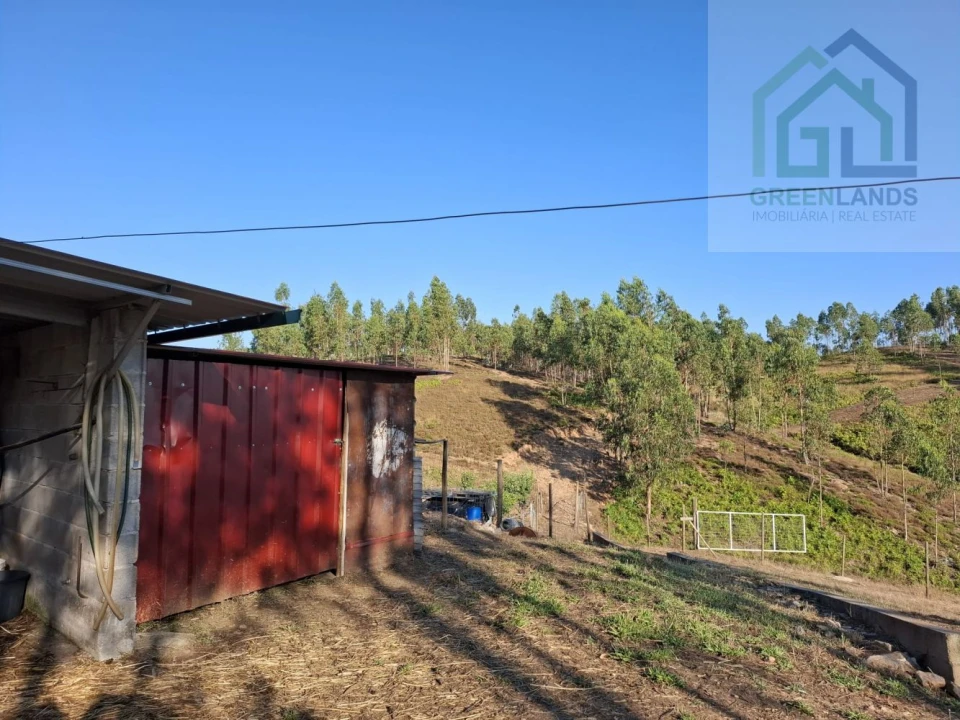 Quinta T0 para Venda em São Martinho da Cortiça Foto 3