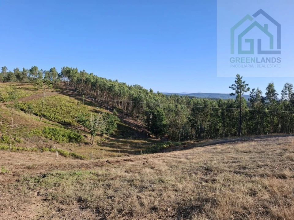 Quinta T0 para Venda em São Martinho da Cortiça Foto 20