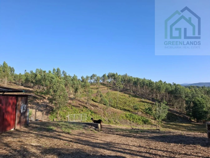 Quinta T0 para Venda em São Martinho da Cortiça Foto 19
