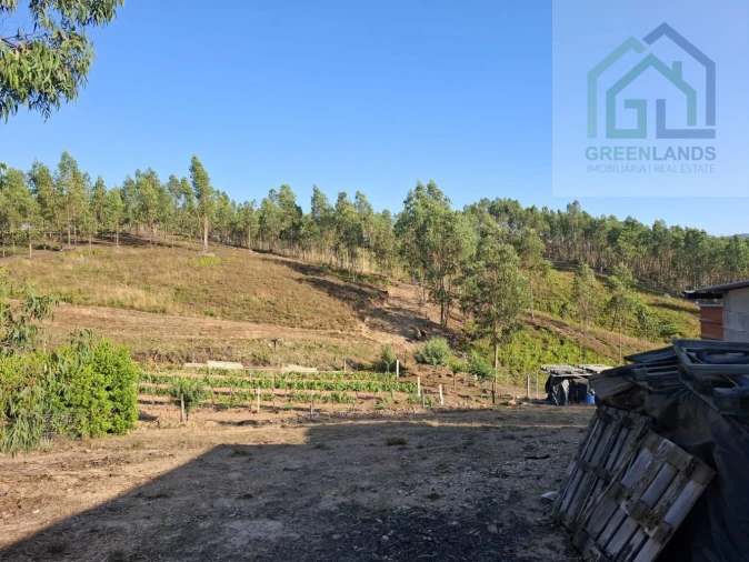Quinta T0 para Venda em São Martinho da Cortiça Foto 13