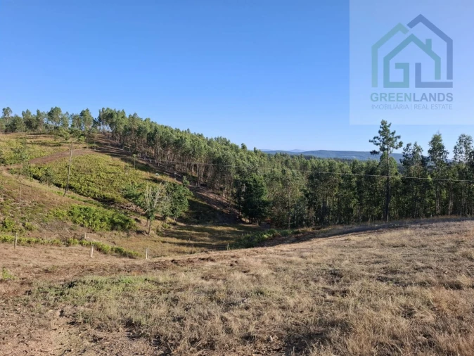 Quinta T0 para Venda em São Martinho da Cortiça Foto 20