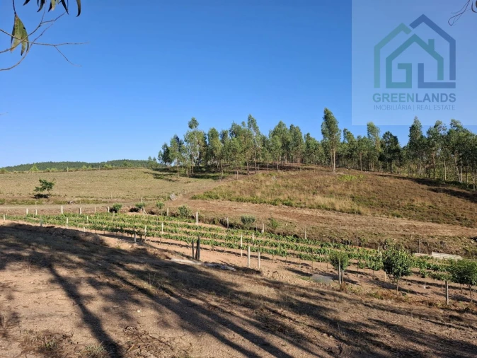 Quinta T0 para Venda em São Martinho da Cortiça Foto 14