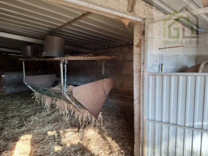 Quinta T0 para Venda em São Martinho da Cortiça Foto 5