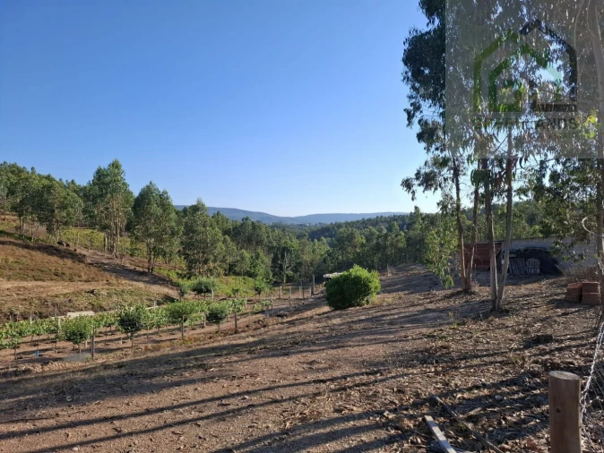 Quinta T0 para Venda em São Martinho da Cortiça Foto 15