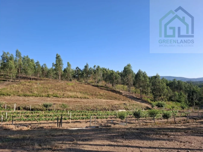 Quinta T0 para Venda em São Martinho da Cortiça Foto 8