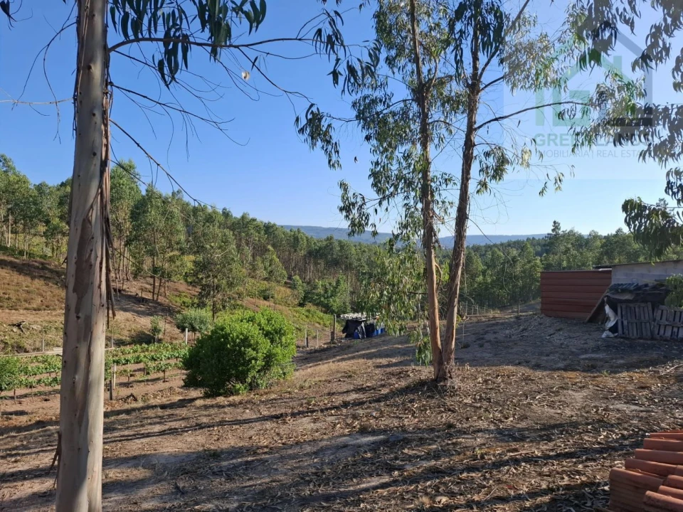 Quinta T0 para Venda em São Martinho da Cortiça Foto 11
