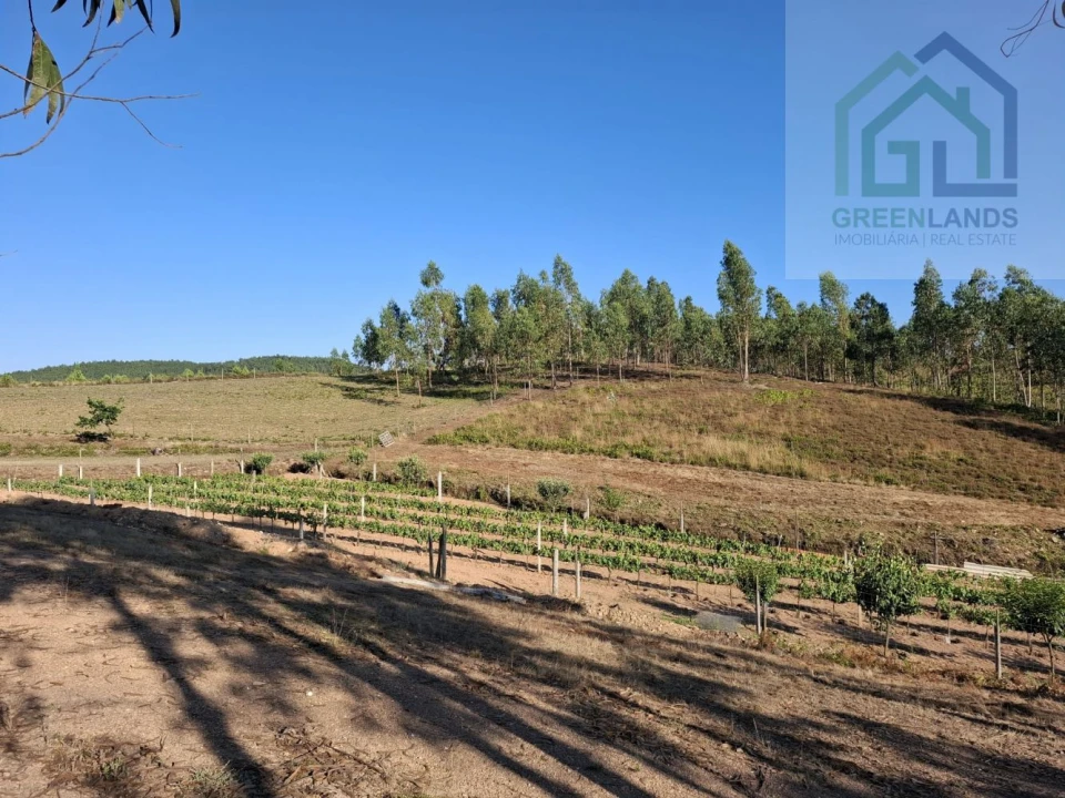 Quinta T0 para Venda em São Martinho da Cortiça Foto 14