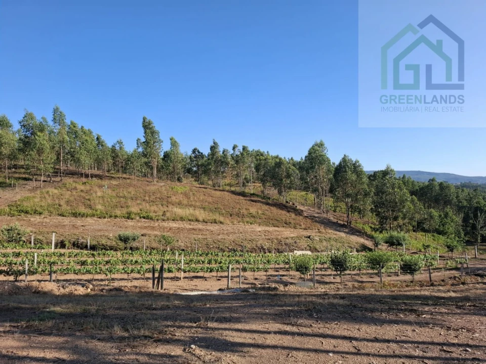 Quinta T0 para Venda em São Martinho da Cortiça Foto 9