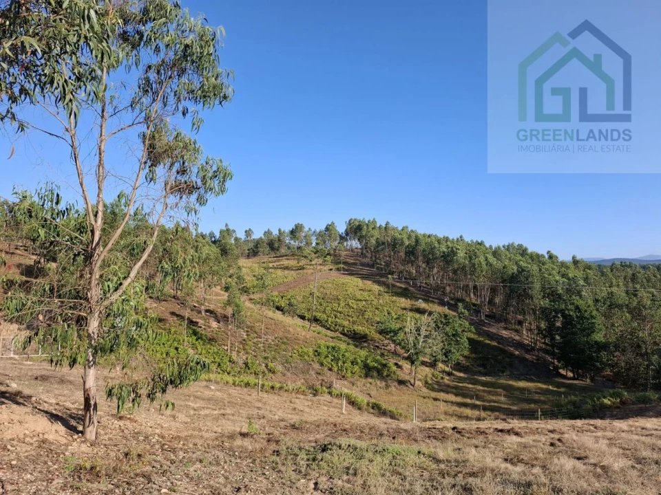 Quinta T0 para Venda em São Martinho da Cortiça Foto 17