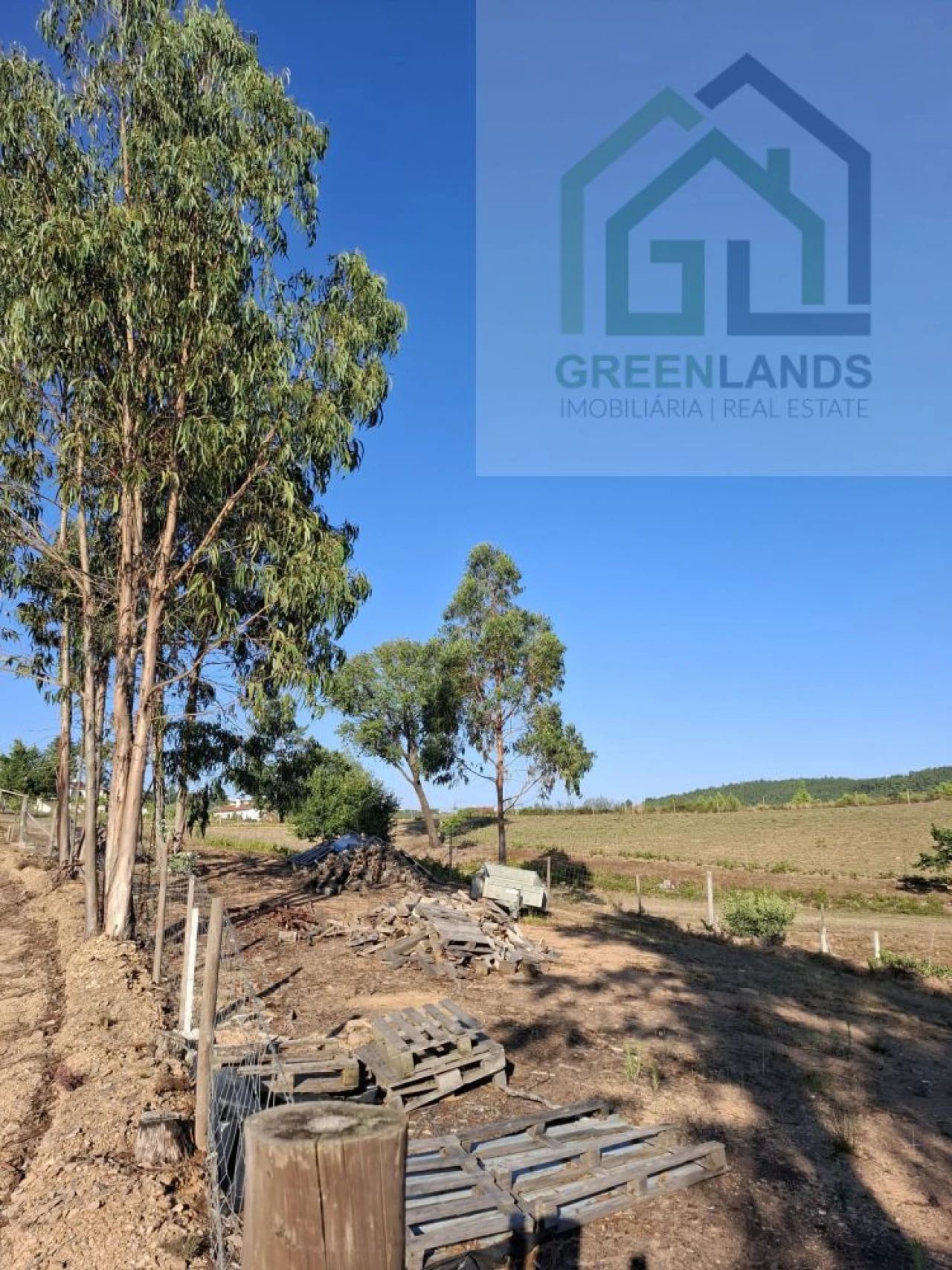 Quinta T0 para Venda em São Martinho da Cortiça Foto 16