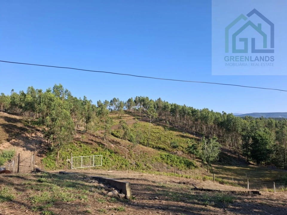 Quinta T0 para Venda em São Martinho da Cortiça Foto 12