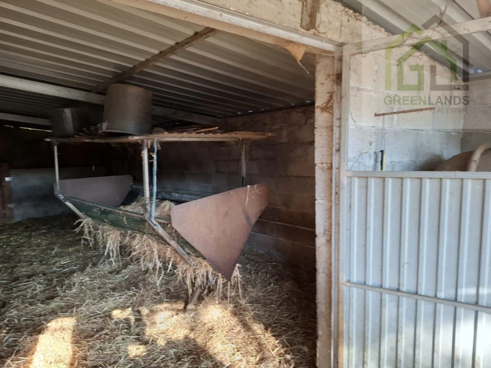 Quinta T0 para Venda em São Martinho da Cortiça Foto 5