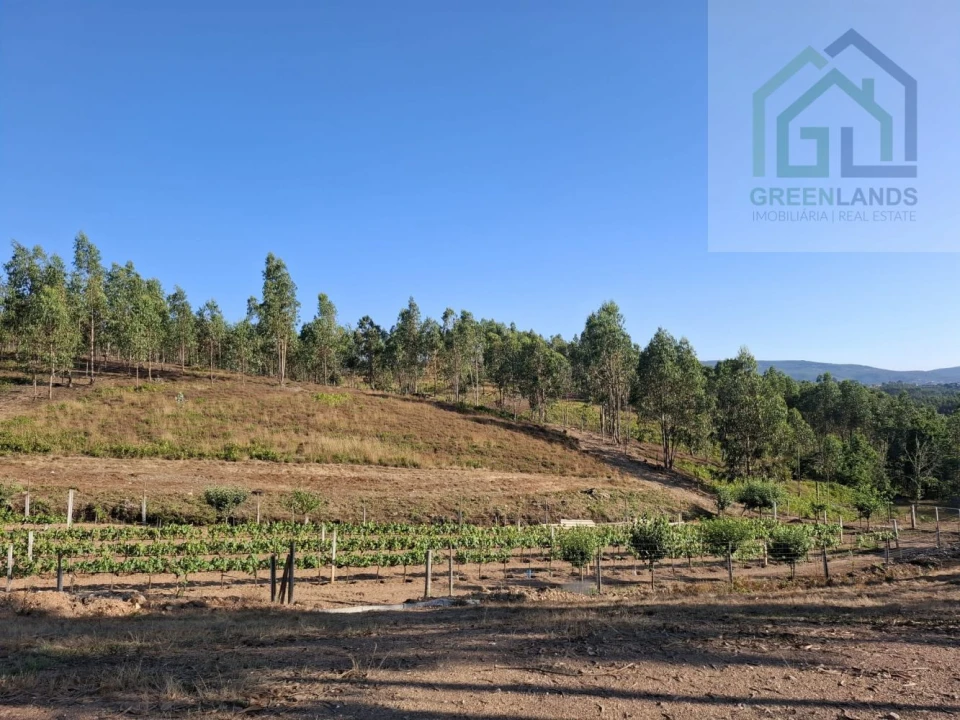 Quinta T0 para Venda em São Martinho da Cortiça Foto 8