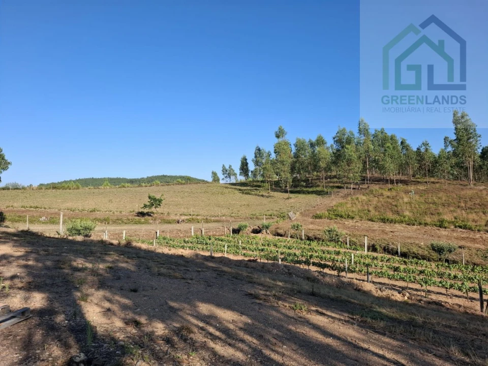 Quinta T0 para Venda em São Martinho da Cortiça Foto 4